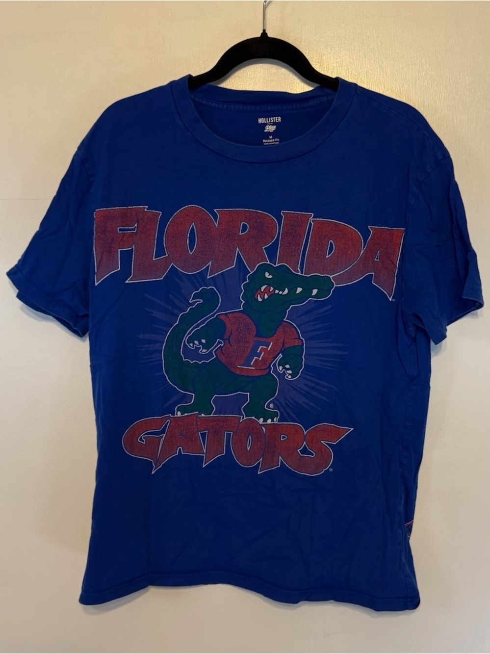 Hollister Blue Florida Gators Graphic Tee